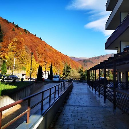 Serenity Suite ซินายา ภายนอก รูปภาพ